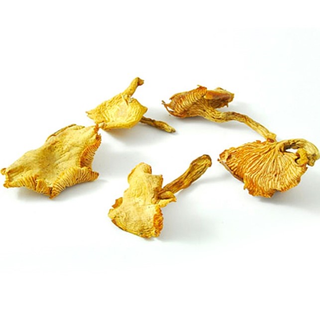 Dried chantarelle mushroom.jpg